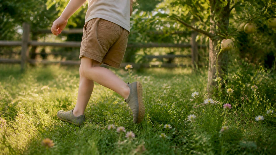 Barfußschuhe für Kinder: Preise und Modelle im Vergleich - Ebmini®